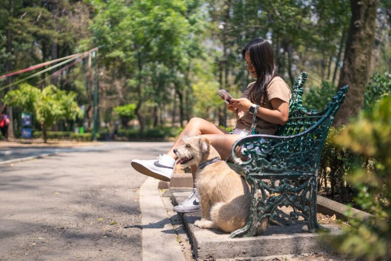 Pet Sitter And How Not To Hire One